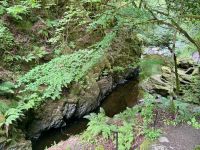 9. Tag: Inverness bis Edinburgh – Wanderung zu den Birks of Aberfeldy &ndash; &copy; Andreas Wolfsteller (Eberhardt TRAVEL)