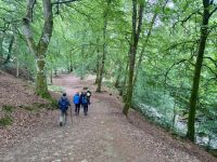 9. Tag: Inverness bis Edinburgh – Wanderung zu den Birks of Aberfeldy &ndash; &copy; Andreas Wolfsteller (Eberhardt TRAVEL)