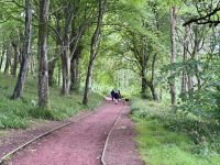 12. Tag: Dumfries bis Glasgow – Culzean Castle & Country Park &ndash; &copy; Andreas Wolfsteller (Eberhardt TRAVEL)