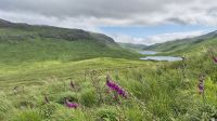 Fahrt über die Isle of Mull &ndash; &copy; Sinah Witzig (Eberhardt TRAVEL)