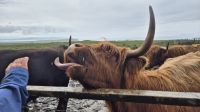 Skye Museum of Island Life &ndash; &copy; Sinah Witzig (Eberhardt TRAVEL)