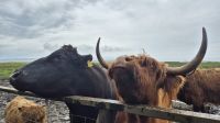 Skye Museum of Island Life &ndash; &copy; Sinah Witzig (Eberhardt TRAVEL)