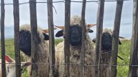 Skye Museum of Island Life &ndash; &copy; Sinah Witzig (Eberhardt TRAVEL)