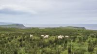 Skye Museum of Island Life