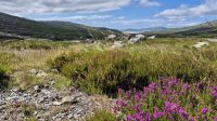 Isle of Harris &ndash; &copy; Sinah Witzig (Eberhardt TRAVEL)