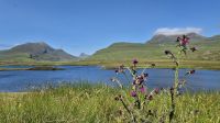 Knockan Crag Nature Reserve &ndash; &copy; Sinah Witzig (Eberhardt TRAVEL)