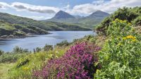Kylesku &ndash; &copy; Sinah Witzig (Eberhardt TRAVEL)