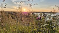 Sonnenuntergang in Thurso &ndash; &copy; Sinah Witzig (Eberhardt TRAVEL)