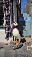 Kirkwall &ndash; &copy; Sinah Witzig (Eberhardt TRAVEL)