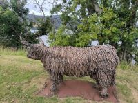 Urquhart Castle - Highland Cow &ndash; &copy; Heike Jack (Eberhardt TRAVEL)