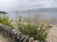 Luss am Loch Lomond &ndash; &copy; Heike Jack (Eberhardt TRAVEL)