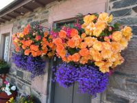Luss am Loch Lomond &ndash; &copy; Heike Jack (Eberhardt TRAVEL)