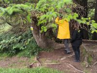 Drehort Hagrids Hütte - das Versteck &ndash; &copy; Heike Jack (Eberhardt TRAVEL)