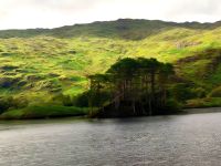 Die Insel im See Loch Eilt &ndash; &copy; Heike Jack (Eberhardt TRAVEL)