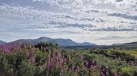 Nevis Range &ndash; &copy; Sinah Witzig (Eberhardt TRAVEL)