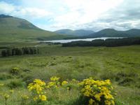 Loch Tulla &ndash; &copy; Constanze Hölig (Eberhardt TRAVEL)