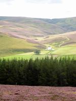 Corgraff Castle_GW