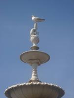 Brunnen in Ayr &ndash; &copy; Michael Krause (Eberhardt TRAVEL)