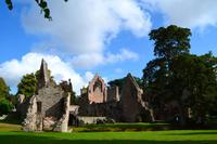 261 Dryburgh abbey &ndash; &copy; Konrad Füssel (Eberhardt TRAVEL)