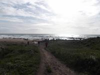 Atlantikküste von Kintyre &ndash; &copy; Michael Krause (Eberhardt TRAVEL)