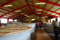 0097 Glenfarclas Distillery &ndash; &copy; Konrad Füssel (Eberhardt TRAVEL)
