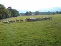 In Formation bei Neil Ross &ndash; &copy; Stefan Jahnke (Eberhardt TRAVEL)