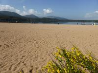 Loch Morlich  &ndash; &copy; Claudia Bernhardt (Eberhardt TRAVEL)