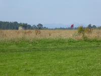 Culloden &ndash; &copy; Sabine Letzybyll (Eberhardt TRAVEL)
