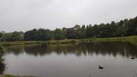 Glasgow Pond Hotel &ndash; &copy; Marlies Thrum (Eberhardt TRAVEL)