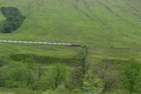 Rundreise Schottland - Eberhardt-Travel - Strath Fillan (Tal) - West Highland Railways &ndash; &copy; Martin Büchner (Eberhardt TRAVEL)