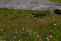 Rundreise Schottland - Eberhardt-Travel - -0796 &ndash; &copy; Martin Büchner (Eberhardt TRAVEL)