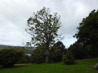 Loch Lomond &ndash; &copy; Sabine Letzybyll (Eberhardt TRAVEL)