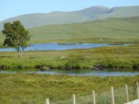 Schottland &ndash; &copy; Sabine Letzybyll (Eberhardt TRAVEL)