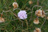 Orchideen?  &ndash; &copy; Andreas Böcker (Eberhardt TRAVEL)
