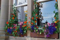 In Stromness &ndash; &copy; Andreas Böcker (Eberhardt TRAVEL)