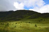 034 Argyl Forest &ndash; &copy; Konrad Füssel (Eberhardt TRAVEL)