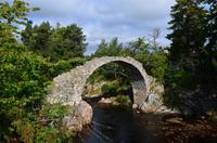 125 Carrbridge &ndash; &copy; Konrad Füssel (Eberhardt TRAVEL)
