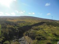 in den Cairngorms &ndash; &copy; Michael Krause (Eberhardt TRAVEL)