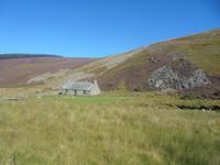 in den Cairngorms &ndash; &copy; Michael Krause (Eberhardt TRAVEL)