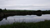 am Hadrianswall 20180603 125120 &ndash; &copy; Marlies Thrum (Eberhardt TRAVEL)