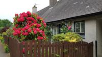 Luss 20180604 105948 &ndash; &copy; Marlies Thrum (Eberhardt TRAVEL)