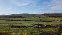 Bahnhfahrt durch den Cairngorn Nationalpark 20180605 211240 &ndash; &copy; Marlies Thrum (Eberhardt TRAVEL)