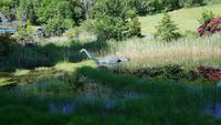 Nessie 20180606 164511 &ndash; &copy; Marlies Thrum (Eberhardt TRAVEL)