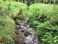 Schottland  &ndash; &copy; Sabine Letzybyll (Eberhardt TRAVEL)