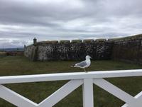 Fort George  &ndash; &copy; Sabine Letzybyll (Eberhardt TRAVEL)