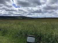 Culloden  &ndash; &copy; Sabine Letzybyll (Eberhardt TRAVEL)