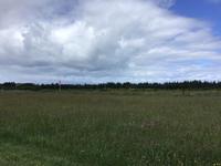 Culloden  &ndash; &copy; Sabine Letzybyll (Eberhardt TRAVEL)