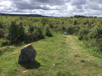 Culloden  &ndash; &copy; Sabine Letzybyll (Eberhardt TRAVEL)