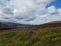 800_Cairngorm &ndash; &copy; Jörg Nesse (Eberhardt TRAVEL)