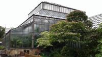 Botanischer Garten Glasgow 20180812 181524 &ndash; &copy; Marlies Thrum (Eberhardt TRAVEL)